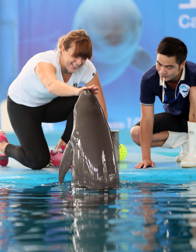 带来新理念 带来新理念